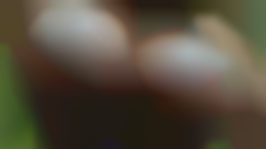 Adult black cock men fucking looking ads in Myrtle Beach.